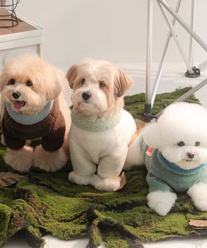 윈터 팔레트 후리스 티셔츠 (3 colors)