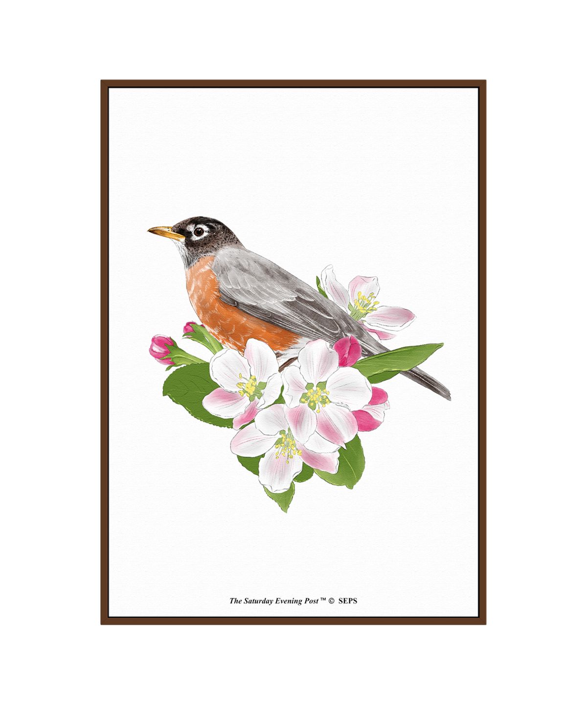 더 새터데이 이브닝 포스트(THE SATURDAY EVENING POST) SEP Framed Poster_Robin on Apple Tree Branch