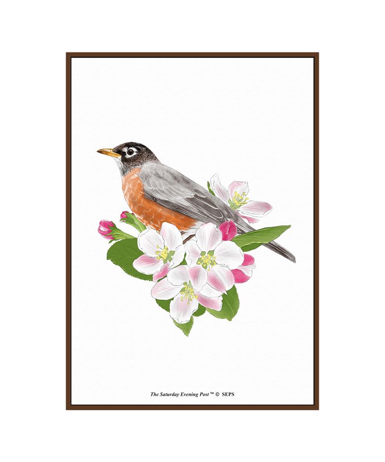 SEP Framed Poster_Robin on Apple Tree Branch