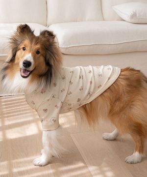 중형견 대형견 강아지 테디 항균 티셔츠 베이지