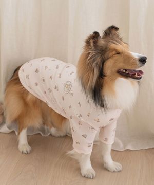 중형견 대형견 강아지 테디 항균 티셔츠 핑크