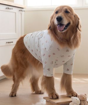 중형견 대형견 강아지 테디 항균 티셔츠 민트