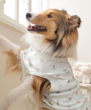 중형견 대형견 강아지 테디 슬리브리스 민트