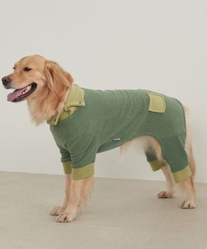 중형견 대형견 강아지 후리스 올인원 그린