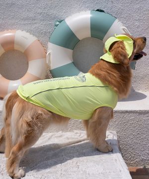 중형견 대형견 강아지 해충방지 UV쿨가드 라임