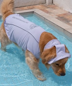 중형견 대형견 강아지 해충방지 UV쿨가드 라벤더