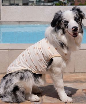 중형견 대형견 강아지 쿨링 버그가드 아이보리