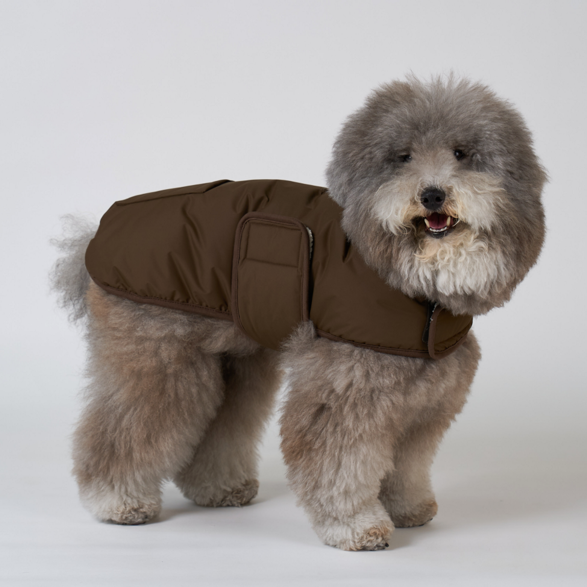 엔젤도그(ANGEL DOG) 개따뜨텍 강아지 숏패딩 Dark Brown