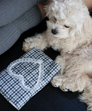 러브 레이스 북커버