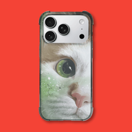 Thumbnail 0