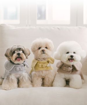 SSFW 밀크티 더플코트 (3 colors)