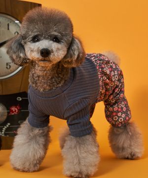 강아지올인원 전원일기 몸빼 세트 꽃남색