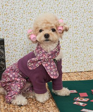 강아지올인원 전원일기 몸빼 세트 꽃자주