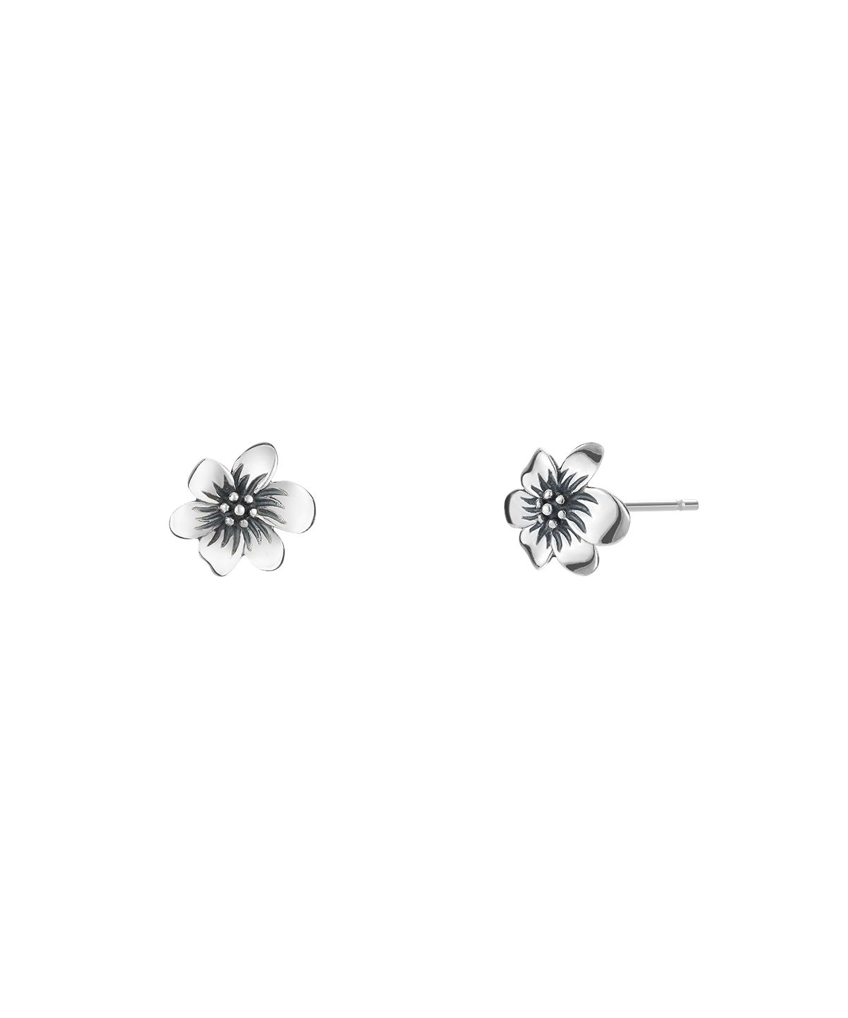 엔프프(NFF) [silver925] corolla earrings-black silver