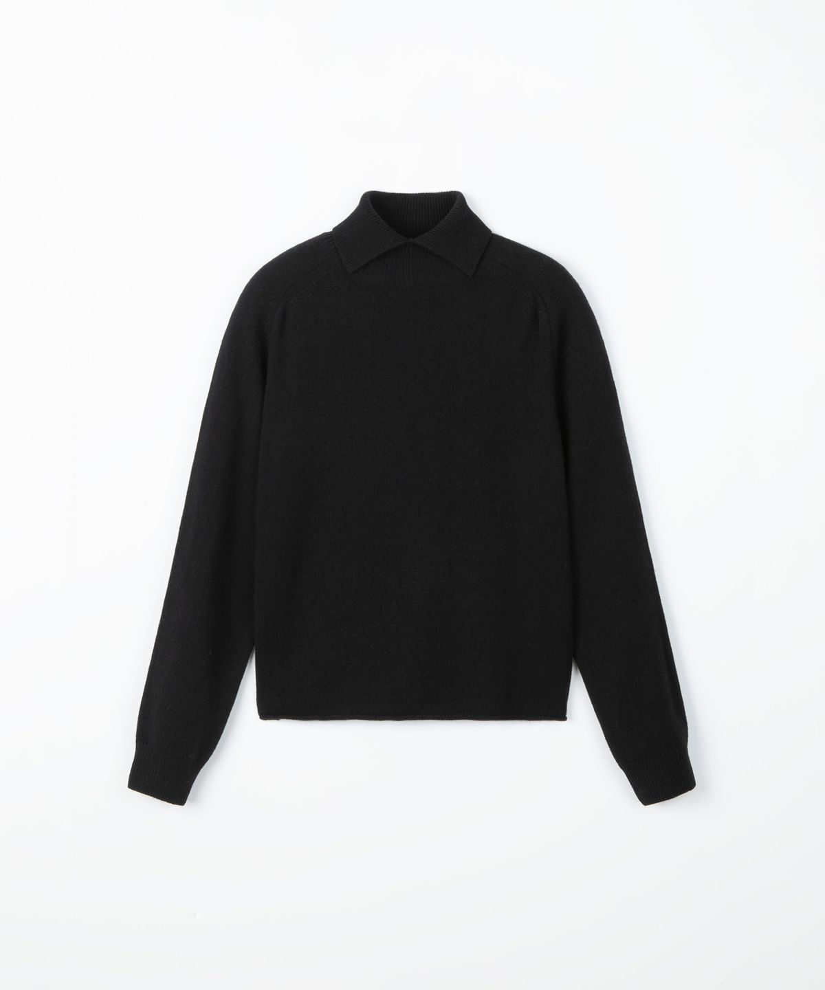 디앤드퀘스천(THEENDQUESTION) Turtle crop knit top / BLACK
