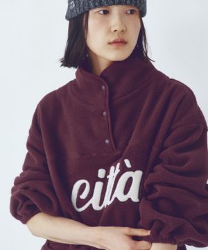 Signature Logo Half Zip-up Fleece_CTT3000(Wine)