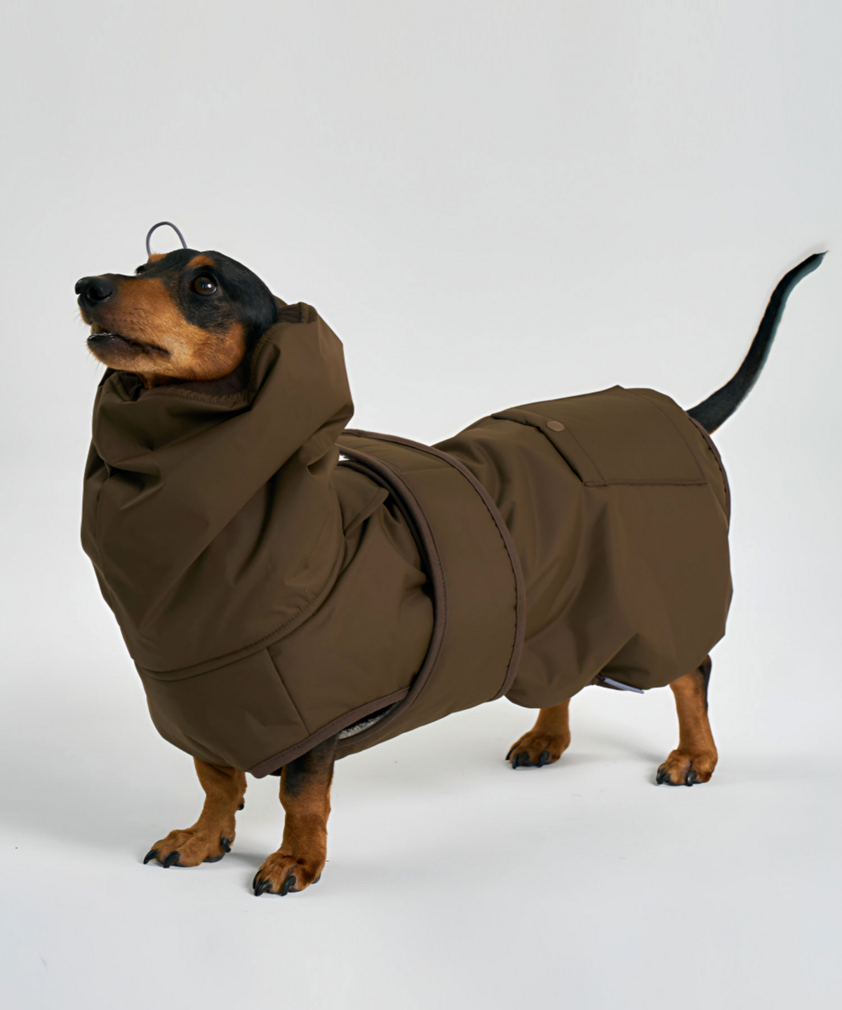 엔젤도그(ANGEL DOG) 개따뜨텍 강아지 패딩 Dark Brown