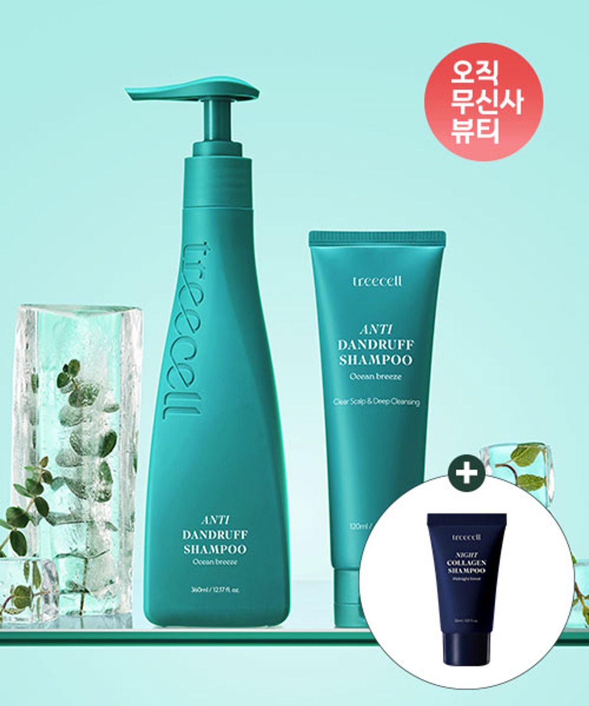 트리셀(TREECELL) [정수리냄새/탈모기능성] 안티 댄드러프 샴푸 360ml+120ml 기획 (+나이트 샴푸 30ml 증정)