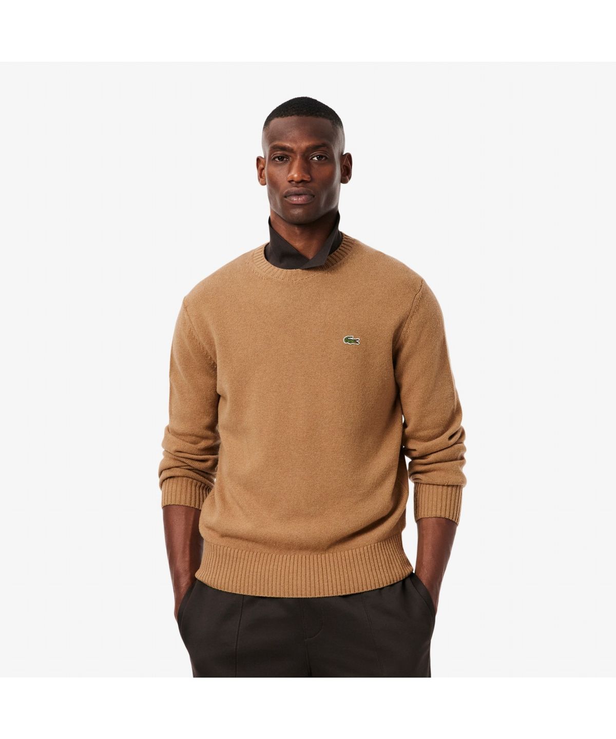 라코스테(LACOSTE) 남성 방모 크루넥 스웨터 AH2916-55N TUY