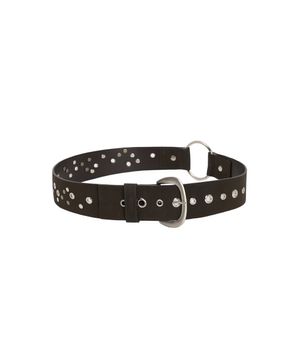 Carrie Stud Belt / Brown