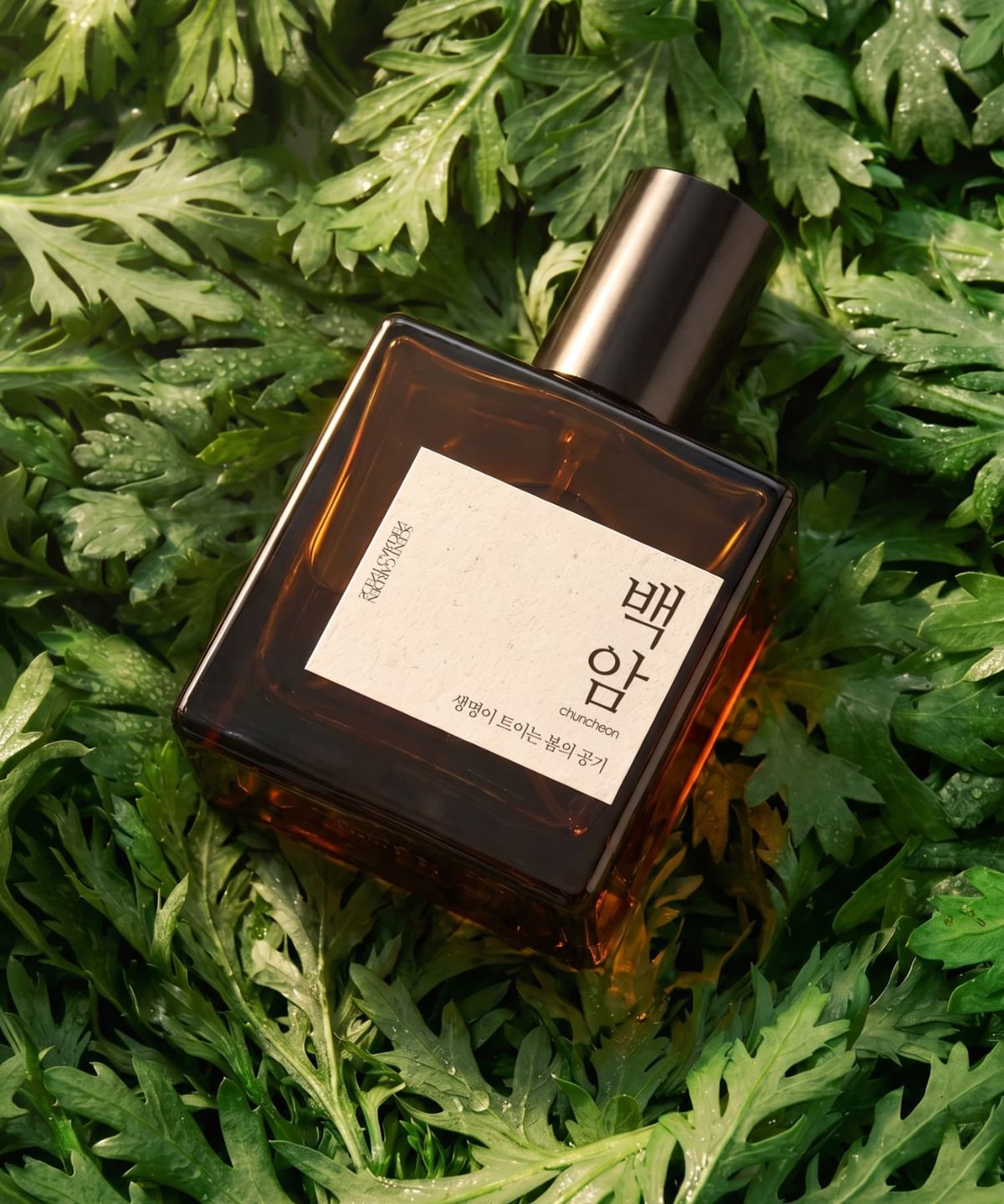 센트정원(SCENTGARDEN) 춘천 백암 멀티퍼퓸 섬유향수 쑥 명상 한옥 고택향