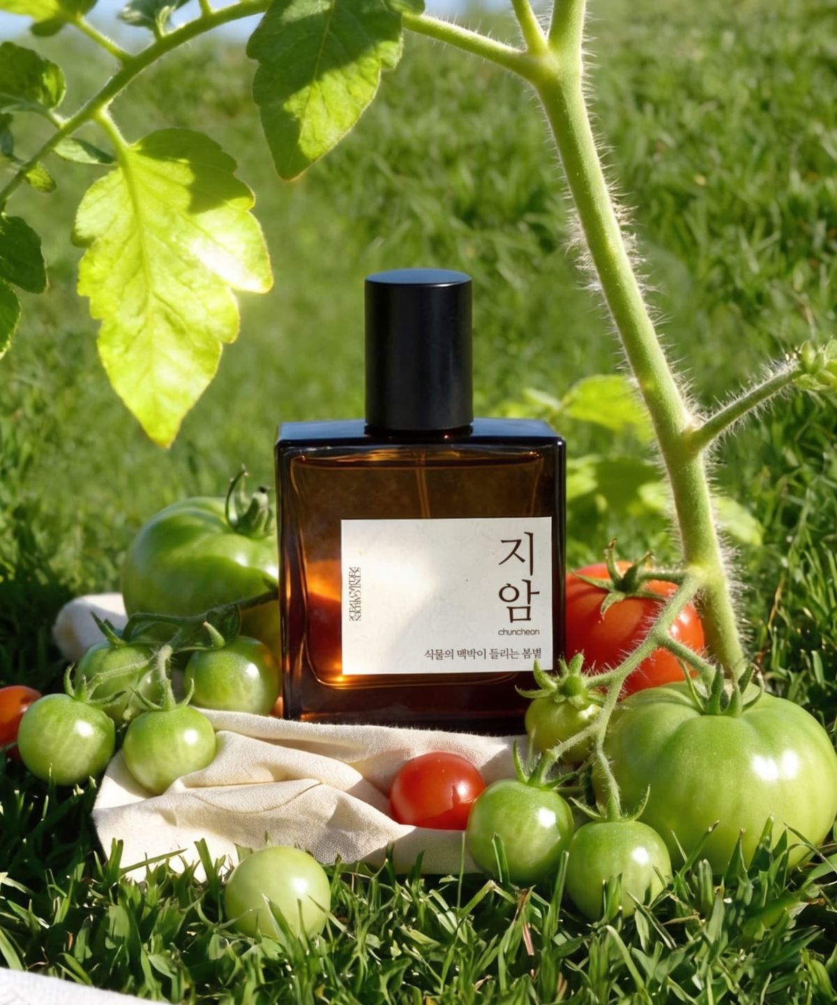 센트정원(SCENTGARDEN) 춘천 지암 멀티퍼퓸 섬유향수 토마토리프 초록토마토향