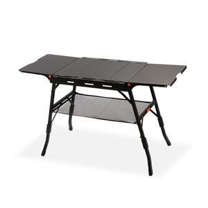 와일드 듀플렉스 IGT 테이블