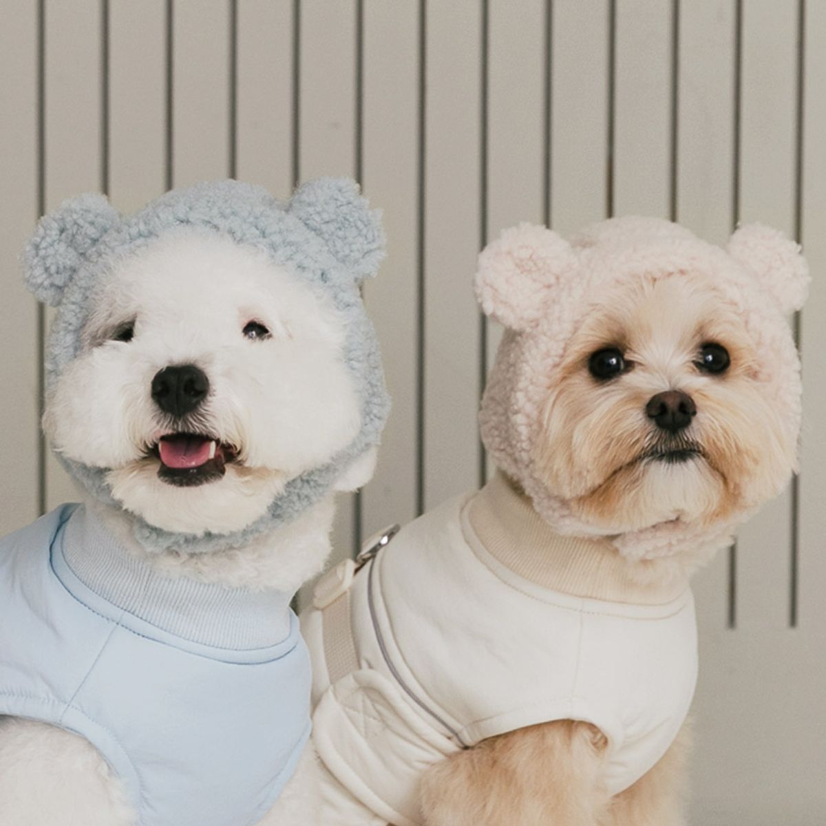 펫츠랜드(PETSLAND) 몽글베어모자 S-L