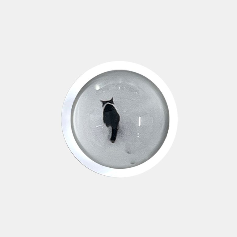 [Magsafe] Snow Cat Resin Tok