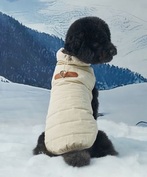강아지 아우터 넥워머 패딩 아이보리