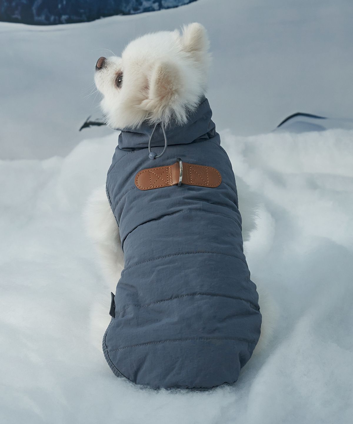 도그아이(DOGI) 강아지 아우터 넥워머 패딩 그레이