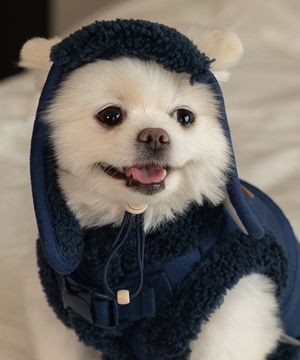 강아지 무스탕모자 네이비