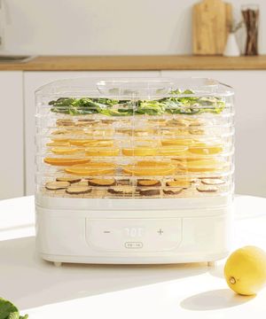 식품건조기 야채 과일 고추 곶감 고구마말랭이 가정용 5단 음식건조기 IFD-1