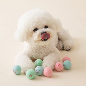 뉴 미니 테니스공 장난감 3개입 (삑삑)