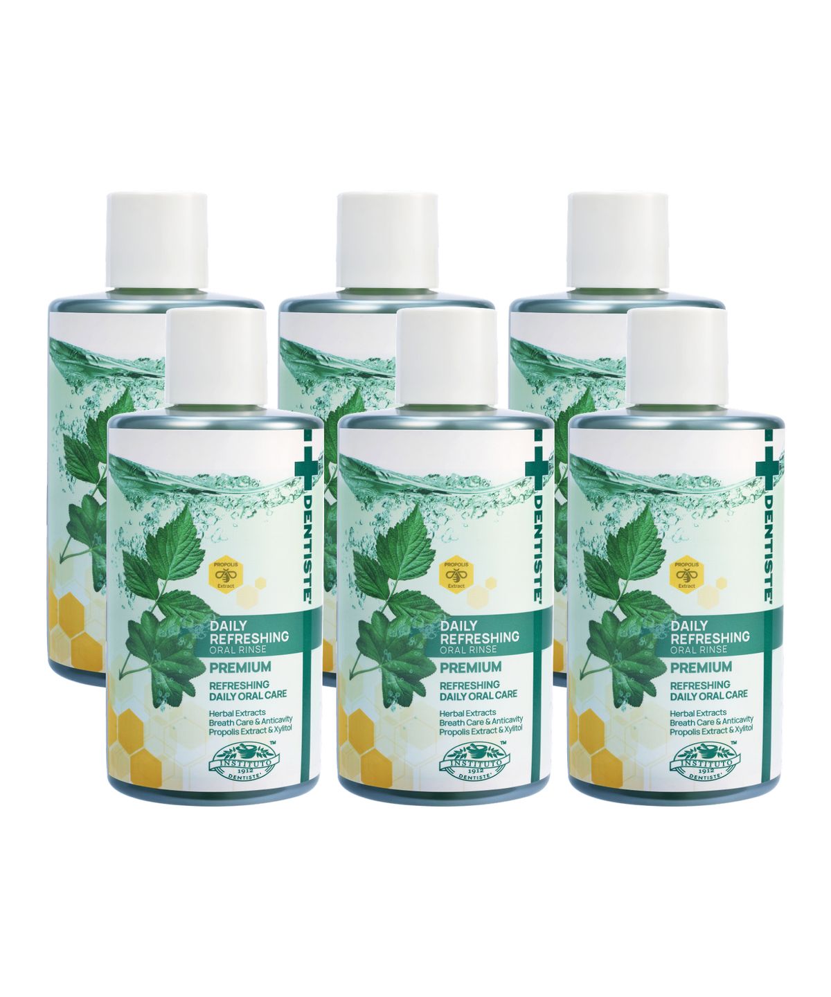 덴티스테(DENTISTE) 덴티스테 데일리 리프레싱 오랄린스 500ml x 6개