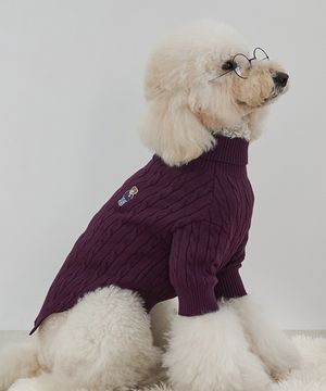 강아지 중형견 대형견 테디 풀오버 니트 버건디