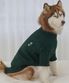 강아지 중형견 대형견 테디 풀오버 니트 그린