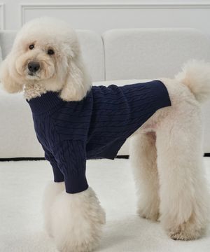 강아지 중형견 대형견 테디 풀오버 니트 네이비