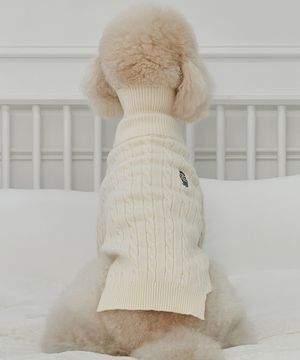 강아지 중형견 대형견 테디 풀오버 니트 크림
