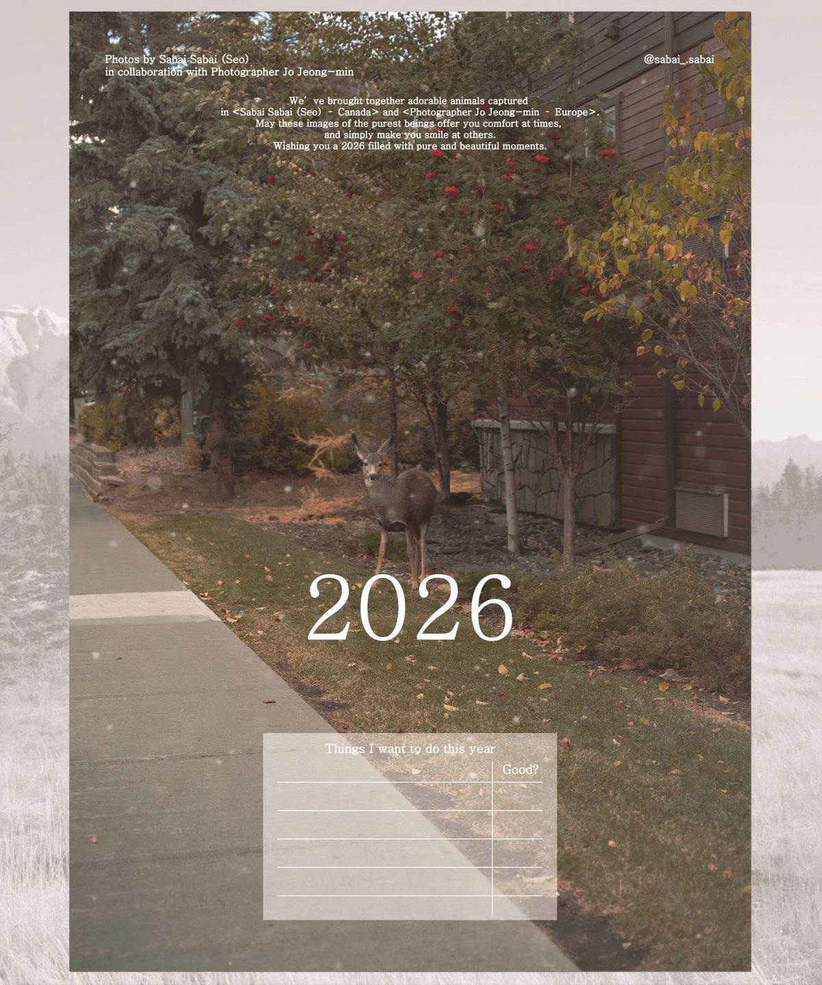 사바이사바이(사바이사바이) 캐나다 2026 캘린더 ver. 동물