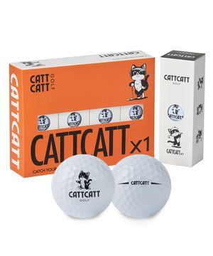 캣캣 X1 2피스 골프공 12구 비거리 고반발 스크린 퍼팅라인 골프볼