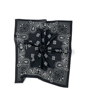 Archive Paisley Signature Scarf