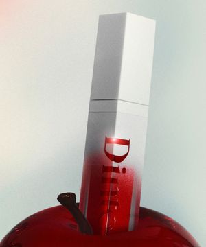 딘토 미러리스 립글로스