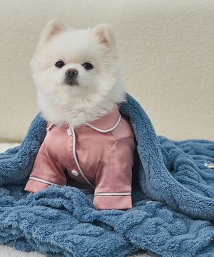 강아지 꽈배기 니트 담요 이불 로얄블루