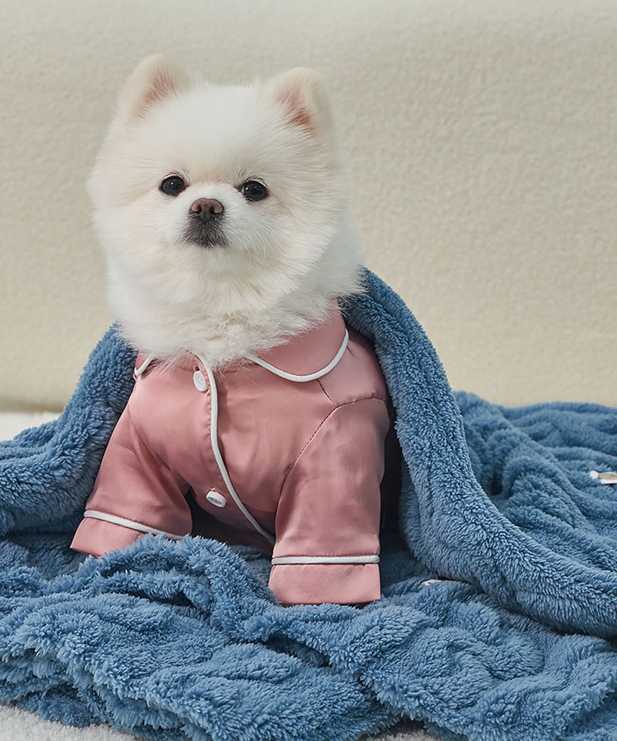 도그아이(DOGI) 강아지 꽈배기 니트 담요 이불 로얄블루