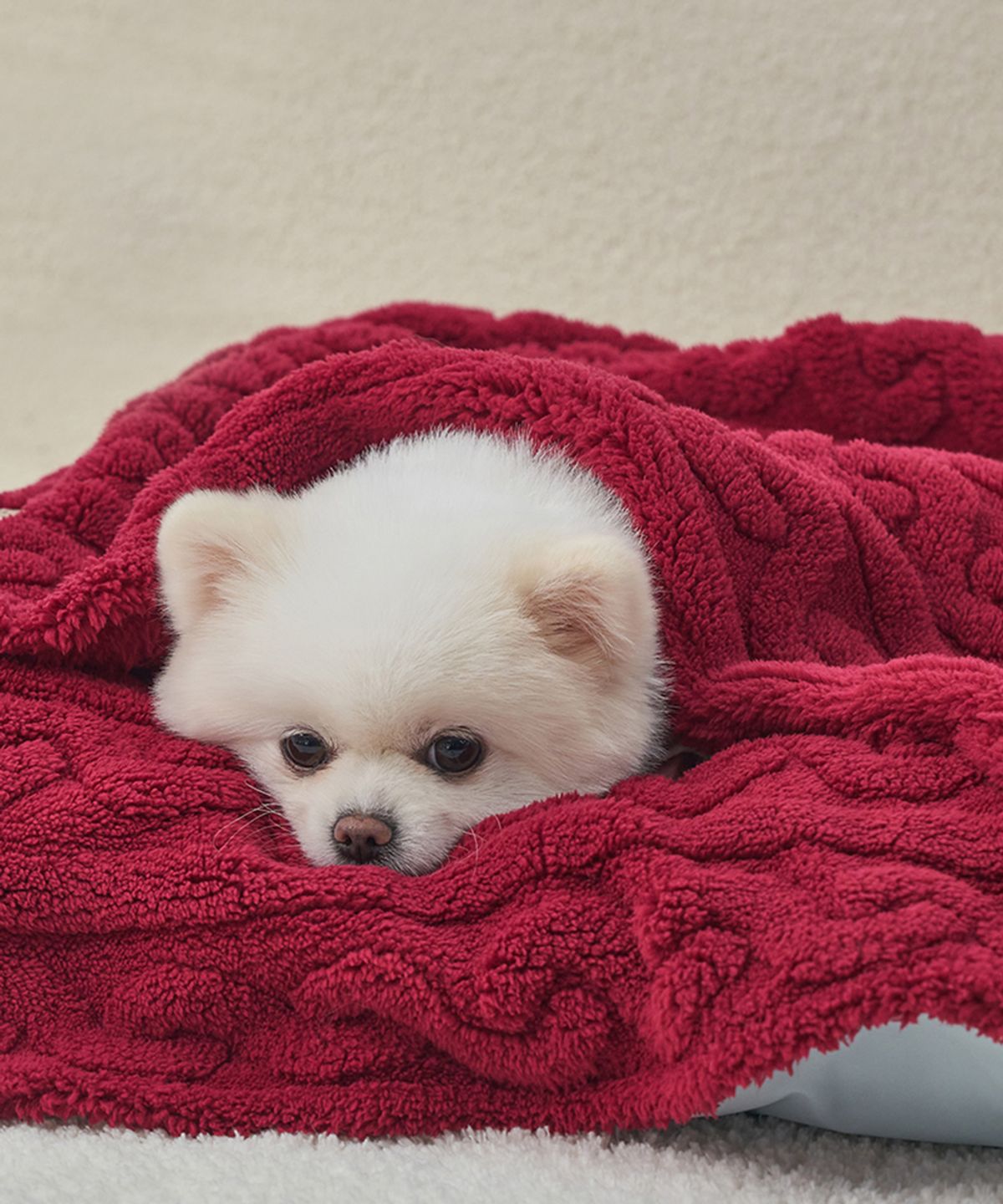 도그아이(DOGI) 강아지 꽈배기 니트 담요 이불 버건디