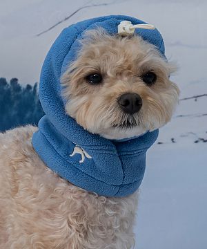 강아지 모자 스누드 블루