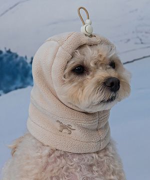 강아지 모자 스누드 베이지