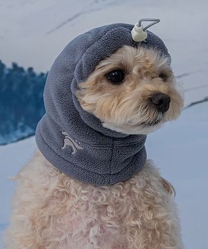 강아지 모자 스누드 그레이