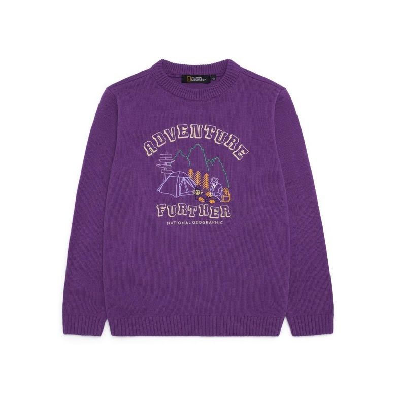 K224UKT010 자수 아트웍 니트 풀오버 PURPLE